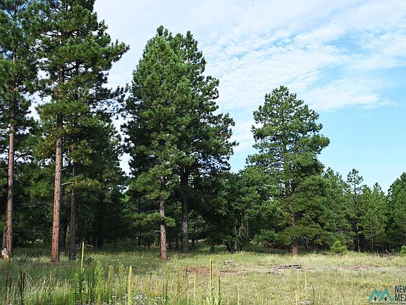 4th image of Forest Rd #157