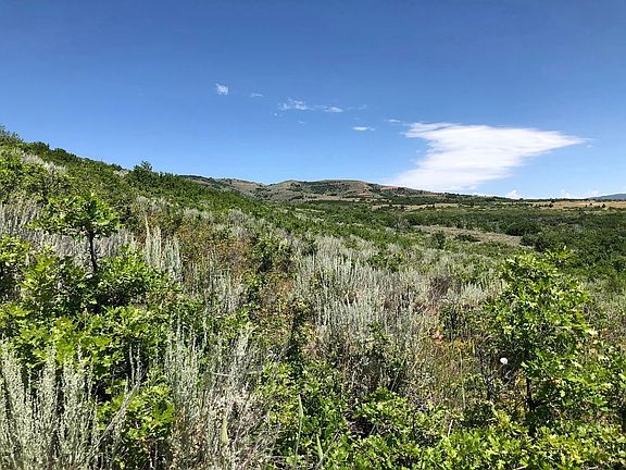 5th image of 3474 N Live Oak Rd E