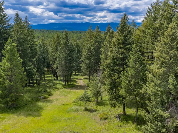 180 Squirrel Ln, Whitefish, MT 59937