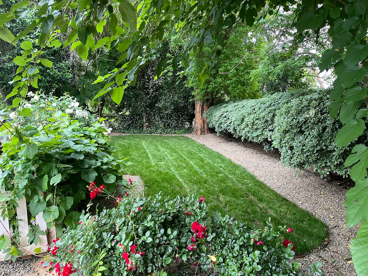 Private fenced in yard - 102 Elliott St #7