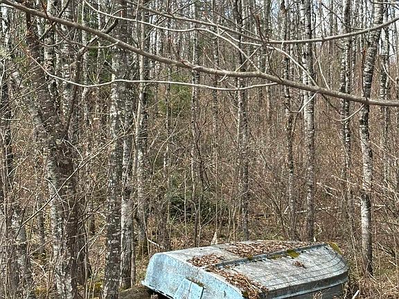 5th image of Tbd Net River Rd