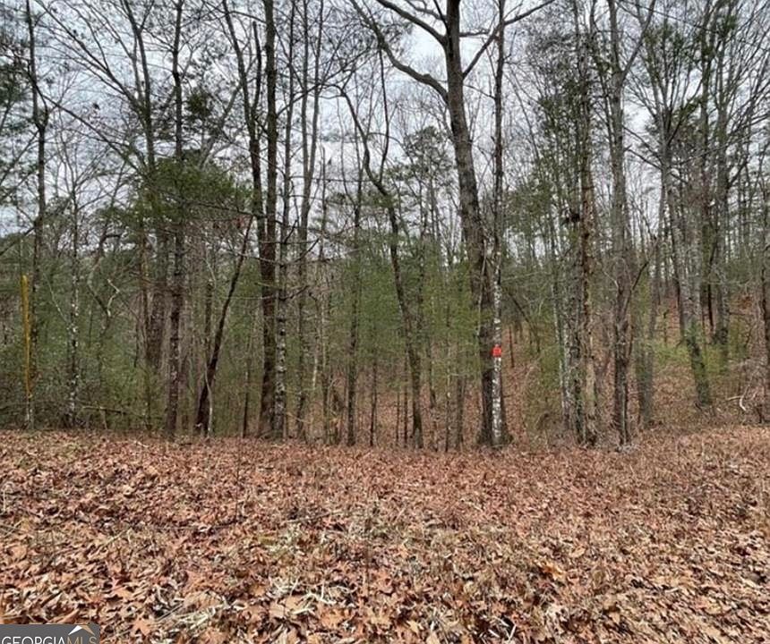 1st image of 0 Amelia Dr