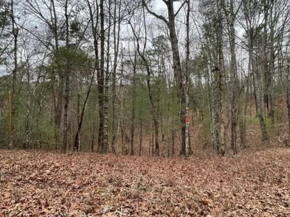 0 Amelia Dr, Ellijay, GA 30540