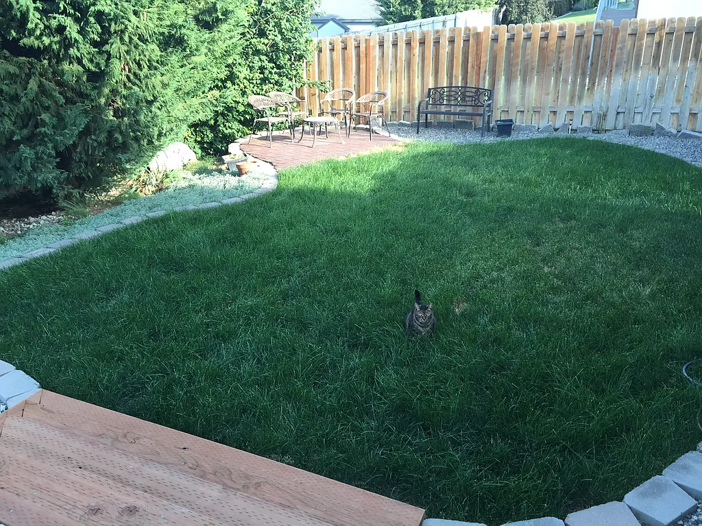 Property photo 5
