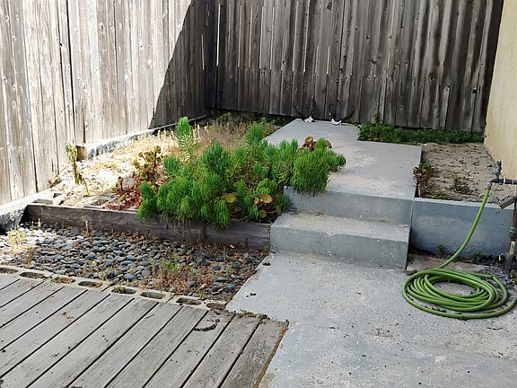 Yard and deck