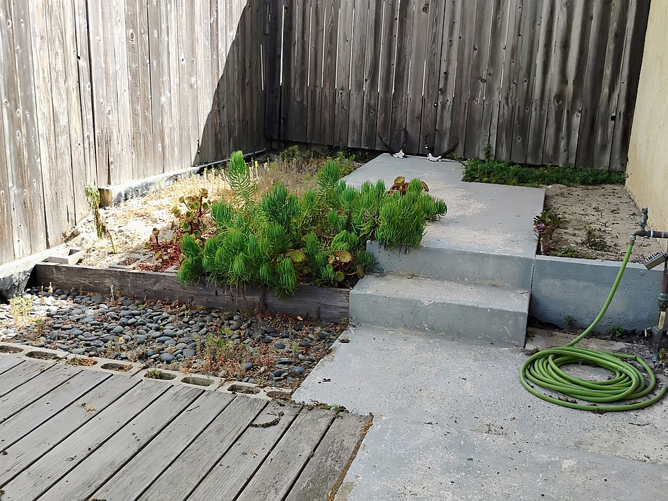 Yard and deck
