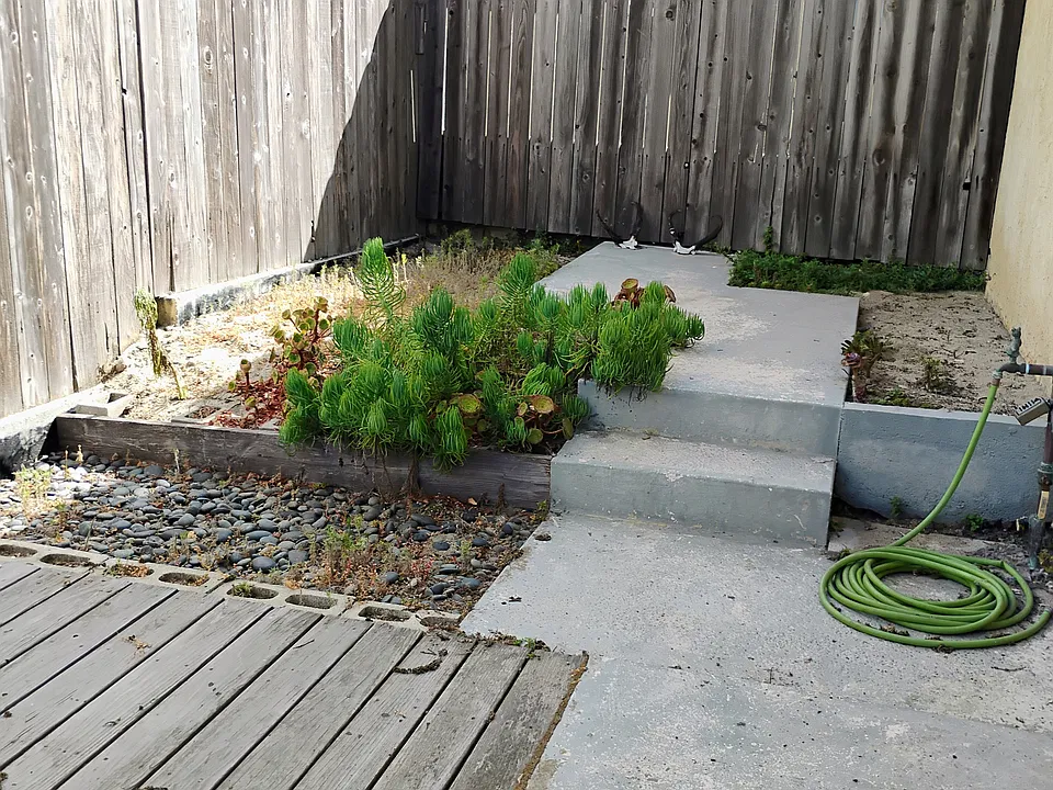 Yard and deck