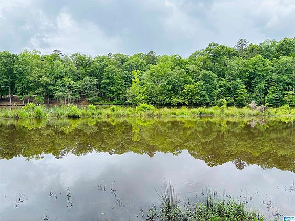 5th image of 8 County Road 499 Lot 8
