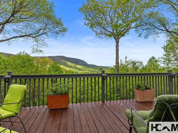 151 Birdnest, Sapphire, NC 28774