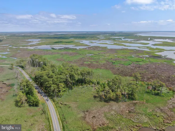 Elliott Island Rd, Vienna, MD 21869