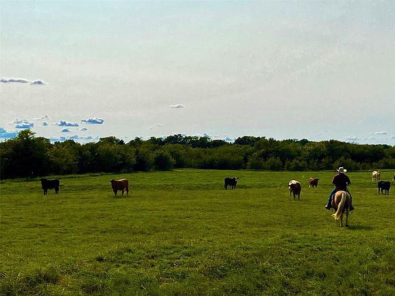 3rd image of County Road 4910