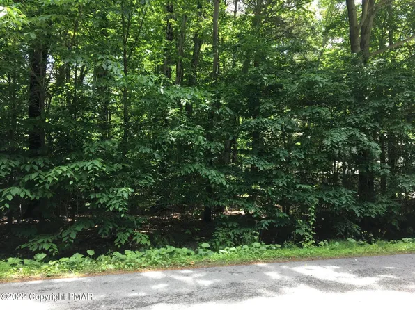 13-14 Sweet Briar Rd, Pocono Pines, PA 18350