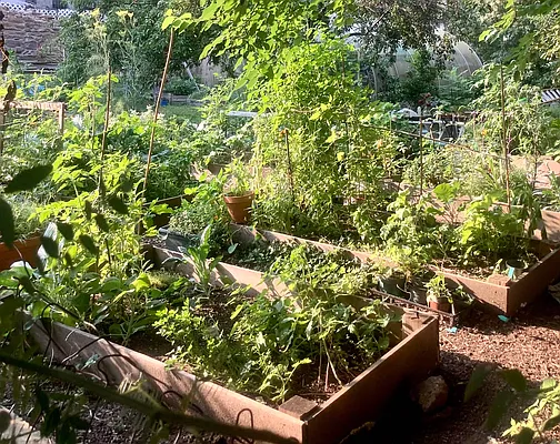 Rented by Corcoran | media 18