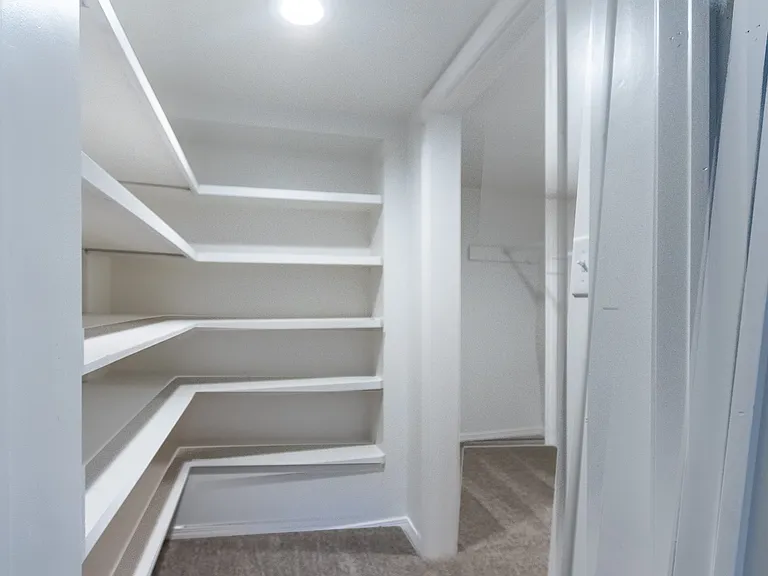 Spacious master closet