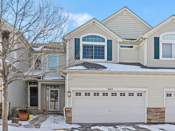 562 Gunnison Ct, Gilberts, IL 60136