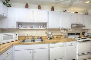 3rd image of 1519 Pelican Point Dr APT Ba288