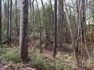 3 Love Ln, Pinehurst, NC, 28374