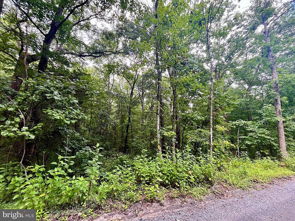 1st image of Forest Dr