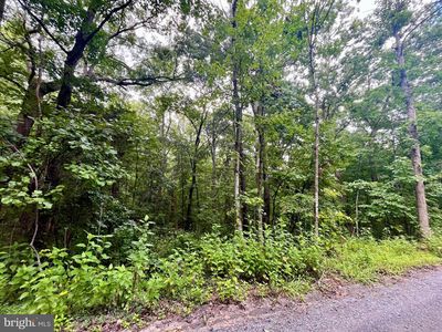 Forest Dr, Luray VA - Owner Finance Home
