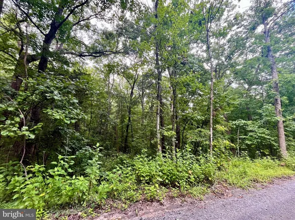 Forest Dr, Luray, VA 22835