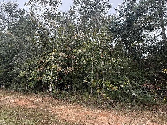 2nd image of 36636 Legacy Way