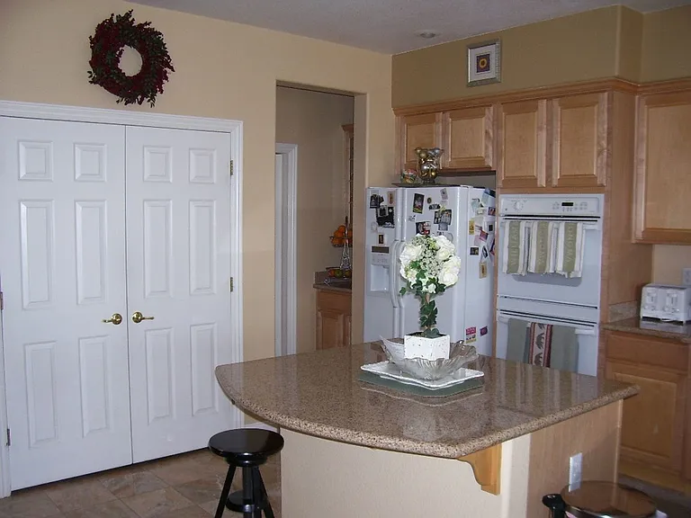 3316 Lacebark Pine St — Photo 5