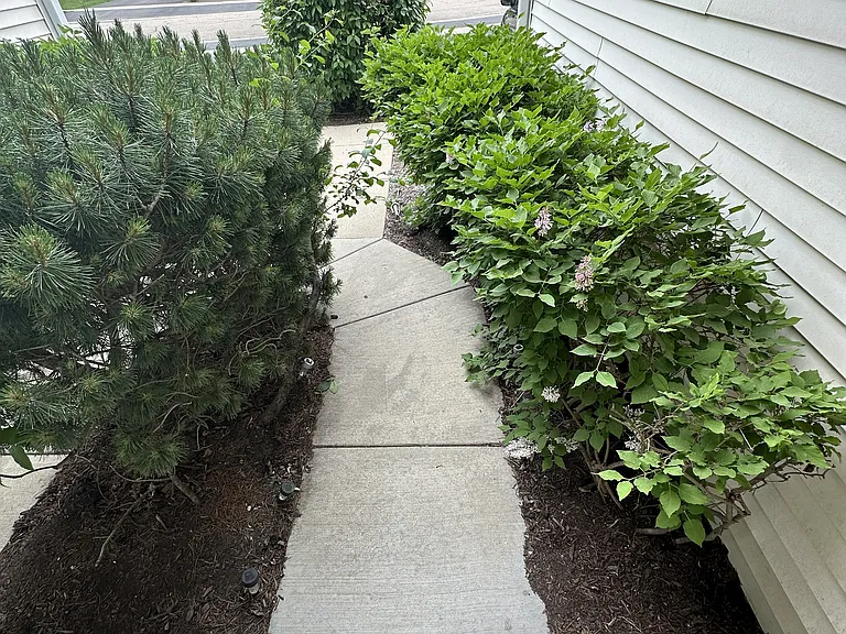 127 Tara Ln — Photo 3