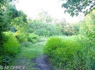 5112 Chippewa Rd, Medina, OH 44256