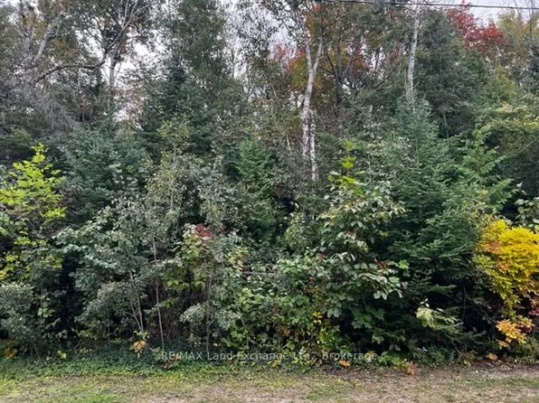 3 Shore Dr, South Bruce Peninsula, ON N0H 1A0