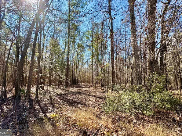 0 Cross Cedar Rd, Wrightsville, GA 31096