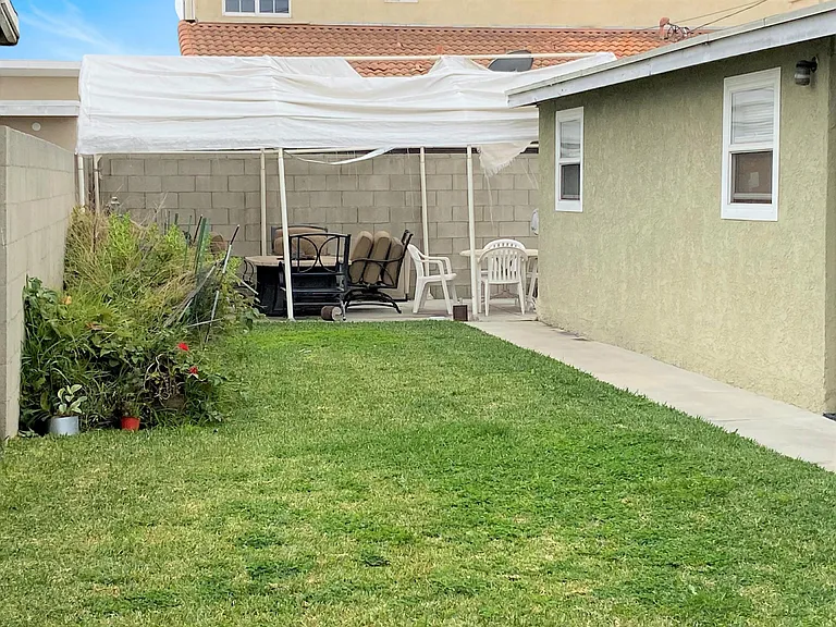 Grass Backyard