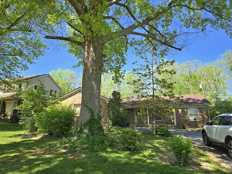 161 Milwood Dr — Photo 7