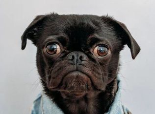 2201 River Rd APT 2, Yakima, WA 98902