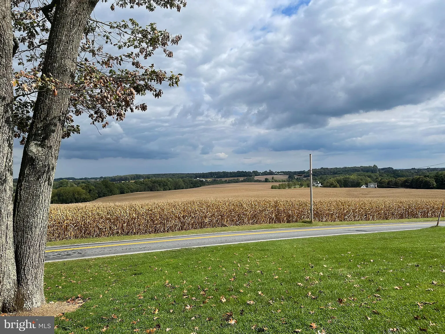 3 bed, 1.0 bath, 1450 sqft, $2,400 — Photo 4