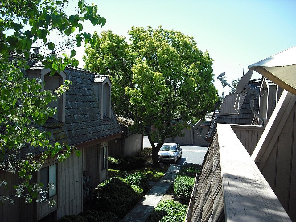 view from patio