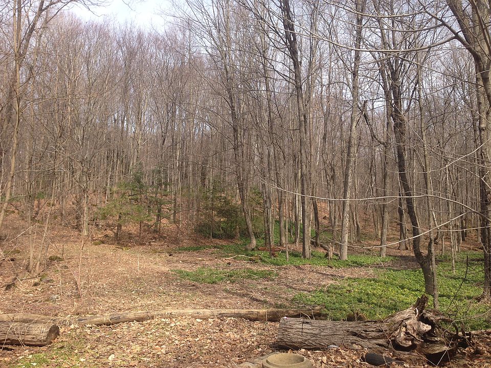 2nd image of 311 Saunders Rd