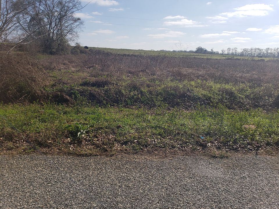2nd image of E College Ave Malve