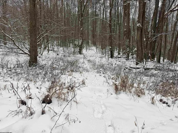 Abiguchee Ln, Richwood, WV 26261