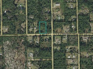 5000 Walnut Ave, Bunnell, FL 32110