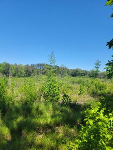 0 Old Hwy #78, Hamilton, AL, 35570