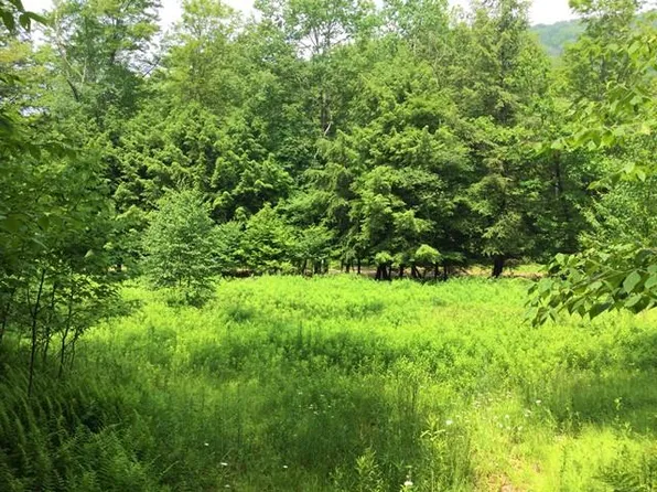 0 Grover Hollow Rd, Genesee, PA 16923