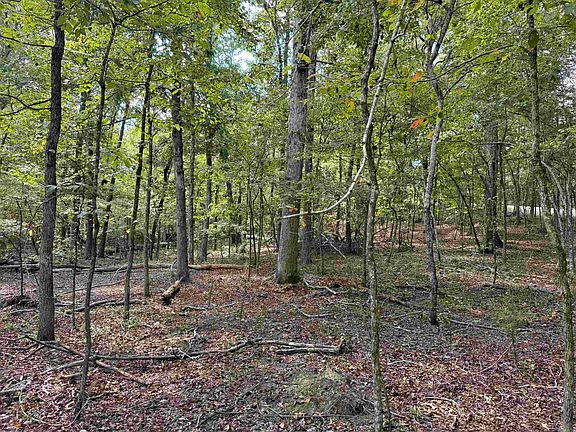 4th image of Reed Rd