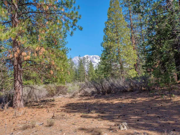 021-170-370 Alves Rd, Weed, CA 96094
