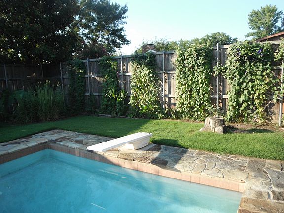 Diving Board