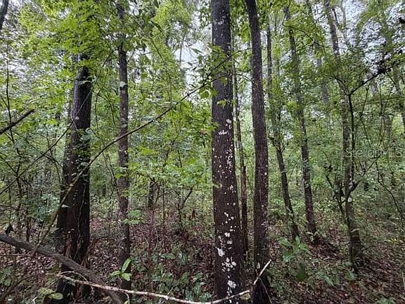 5th image of NE 312TH AVENUE LOT 19
