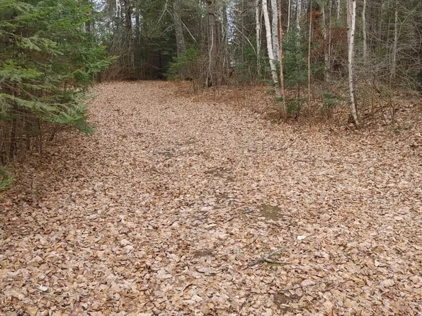 LOT 31 Shady Knoll Rd Lot 31, Park Falls, WI 54552