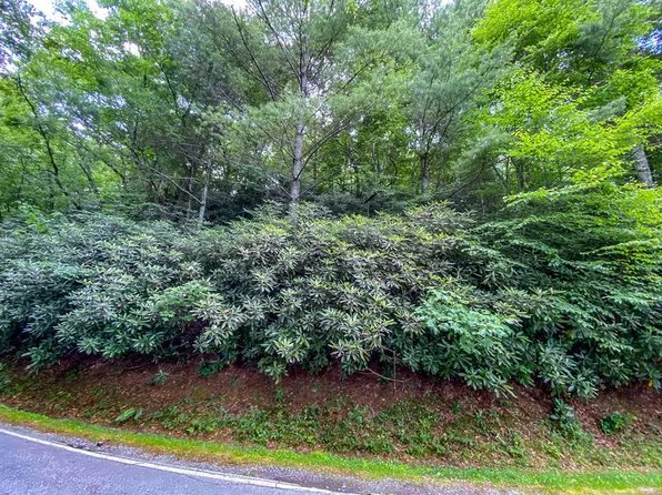 0 Ridgepole Dr, Dillard, GA 30537