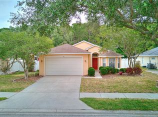 318 Fountainview Cir, Oldsmar, FL 34677