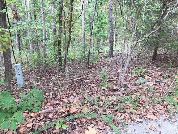 4th image of Dumfries Ln