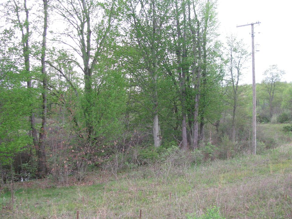 2nd image of 3 Youngs Prairie Rd